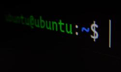 Featured image of post Linux